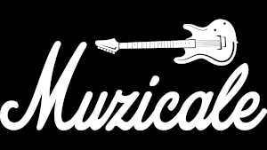 Muzicale - Magazin Muzica Bucuresti